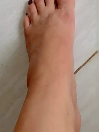 Meu nome e betty pimenta uma acompanhante linda e fogosa que e madura e adora ser subjulgada sou muito carinhosa feminina e amo sexo tenho um enorme d...