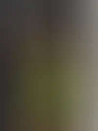 Garota rechonchuda e sensual chamadas ao vivo sexting chamada de video fetiches realizo anal com brinquedinhos masturbacao guiada realizo verificacao...